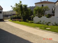 /album/photogallery/sem-titulo3-jpg/